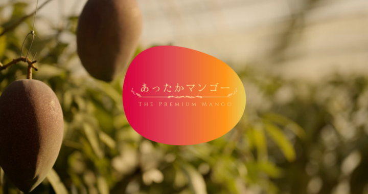 コスモ精機様